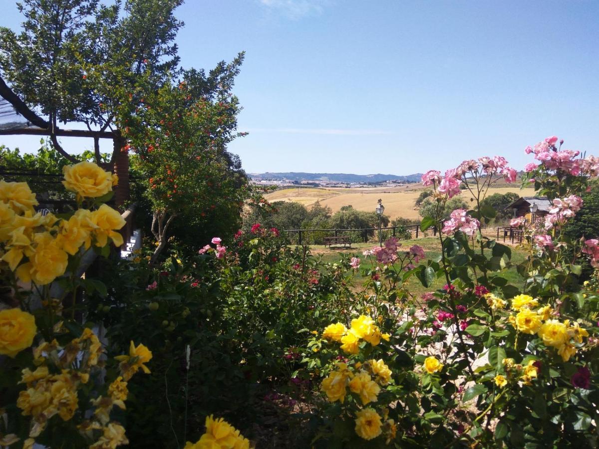 Bellavista Hébergement de vacances Ronda