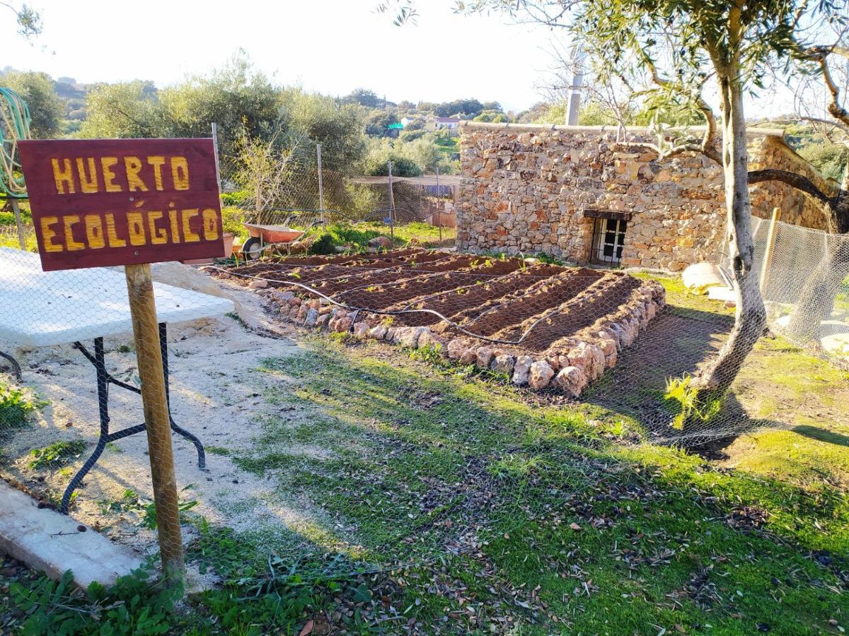 Hébergement de vacances Bellavista