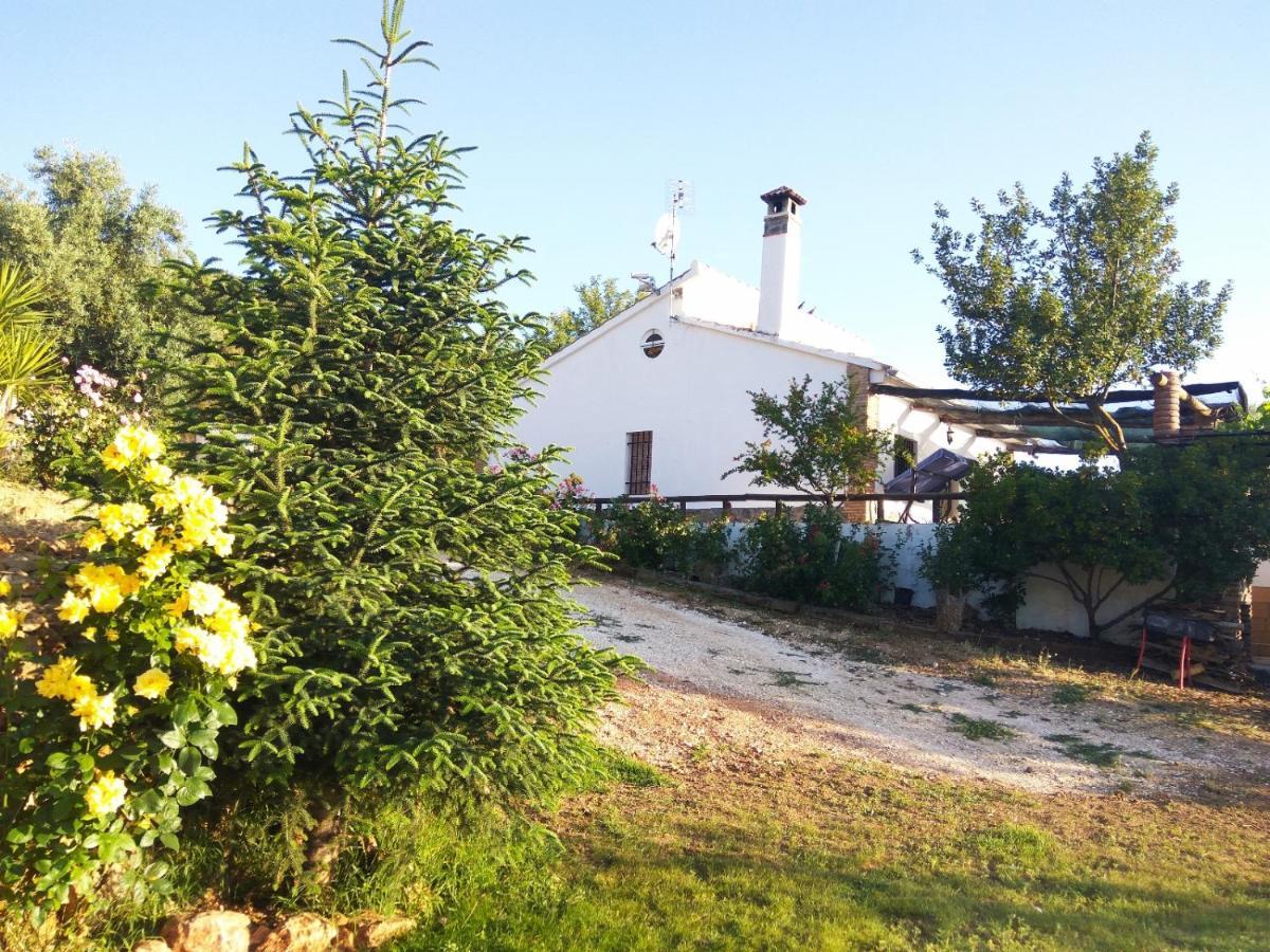 Bellavista Hébergement de vacances