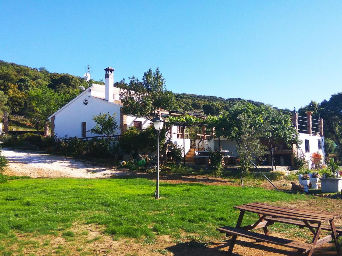 Bellavista *